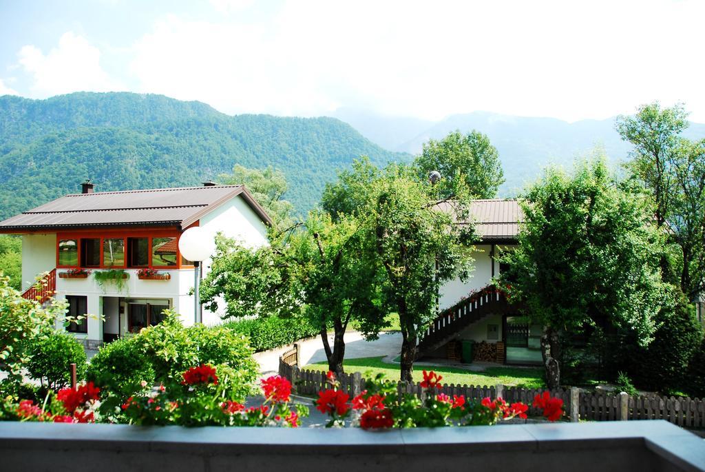 Budget Homestay Кобарид Номер фото