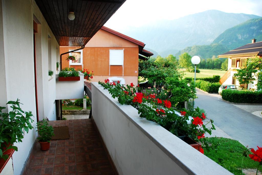Budget Homestay Кобарид Номер фото