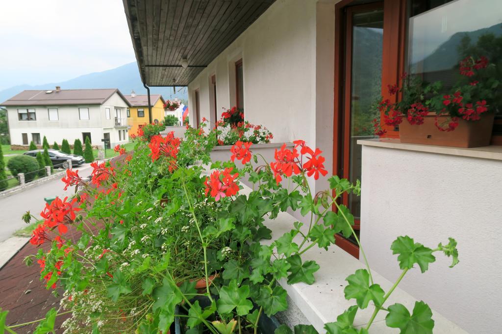 Budget Homestay Кобарид Экстерьер фото