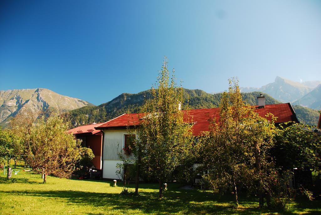 Budget Homestay Кобарид Экстерьер фото