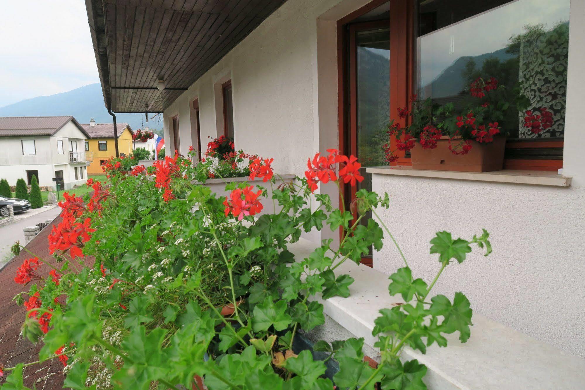 Budget Homestay Кобарид Экстерьер фото